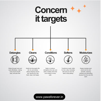 Paws Forever 2-in-1 Shampoo and Conditioner For Dogs and Cats