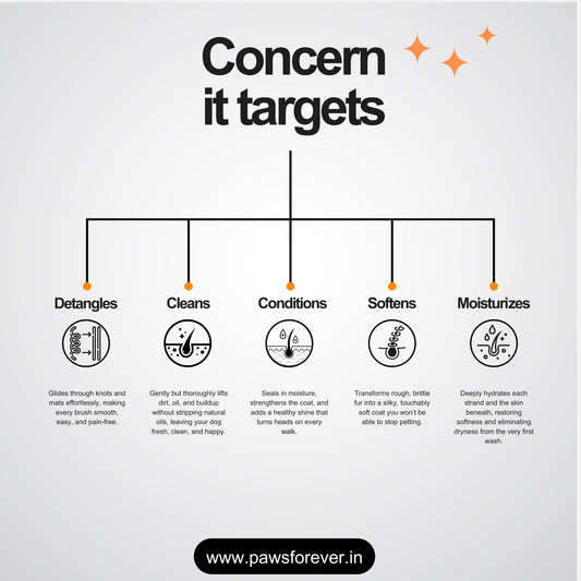 Paws Forever 2-in-1 Shampoo and Conditioner For Dogs and Cats